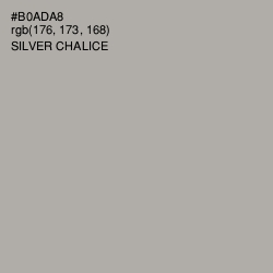 #B0ADA8 - Silver Chalice Color Image